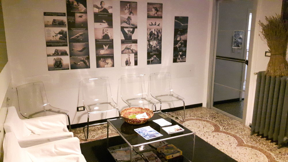 Osteopata Francesco Bertino | Genova | Qigong, 5 leggi biologiche, osteopatia, massofisioterapia - Lo studio